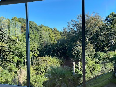 Conditioning Studio SEA