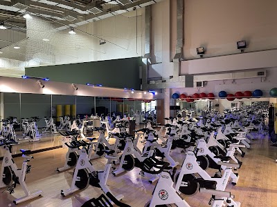 WELL-FIT 新浦安店