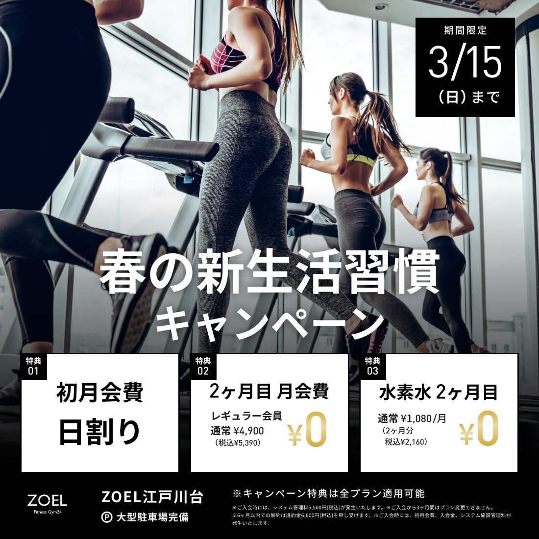 ZOEL 江戸川台店