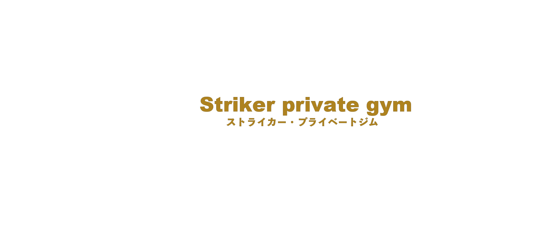STRIKER PRIVATE GYM 東神奈川店
