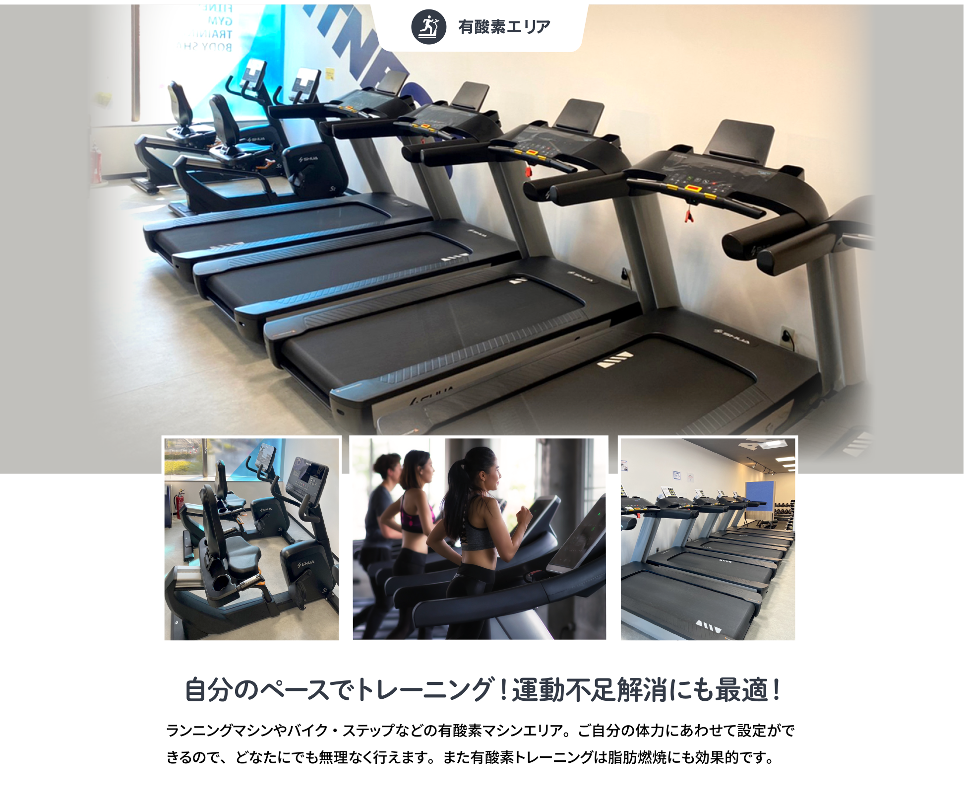 アンバーフィットネス(AMBER FITNESS)
