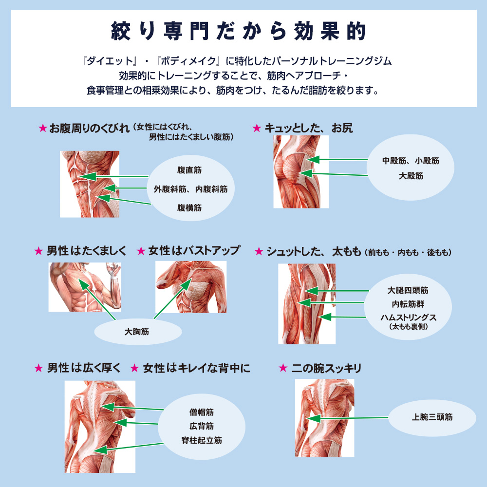 絞り専門パーソナルトレーニングジム inshape