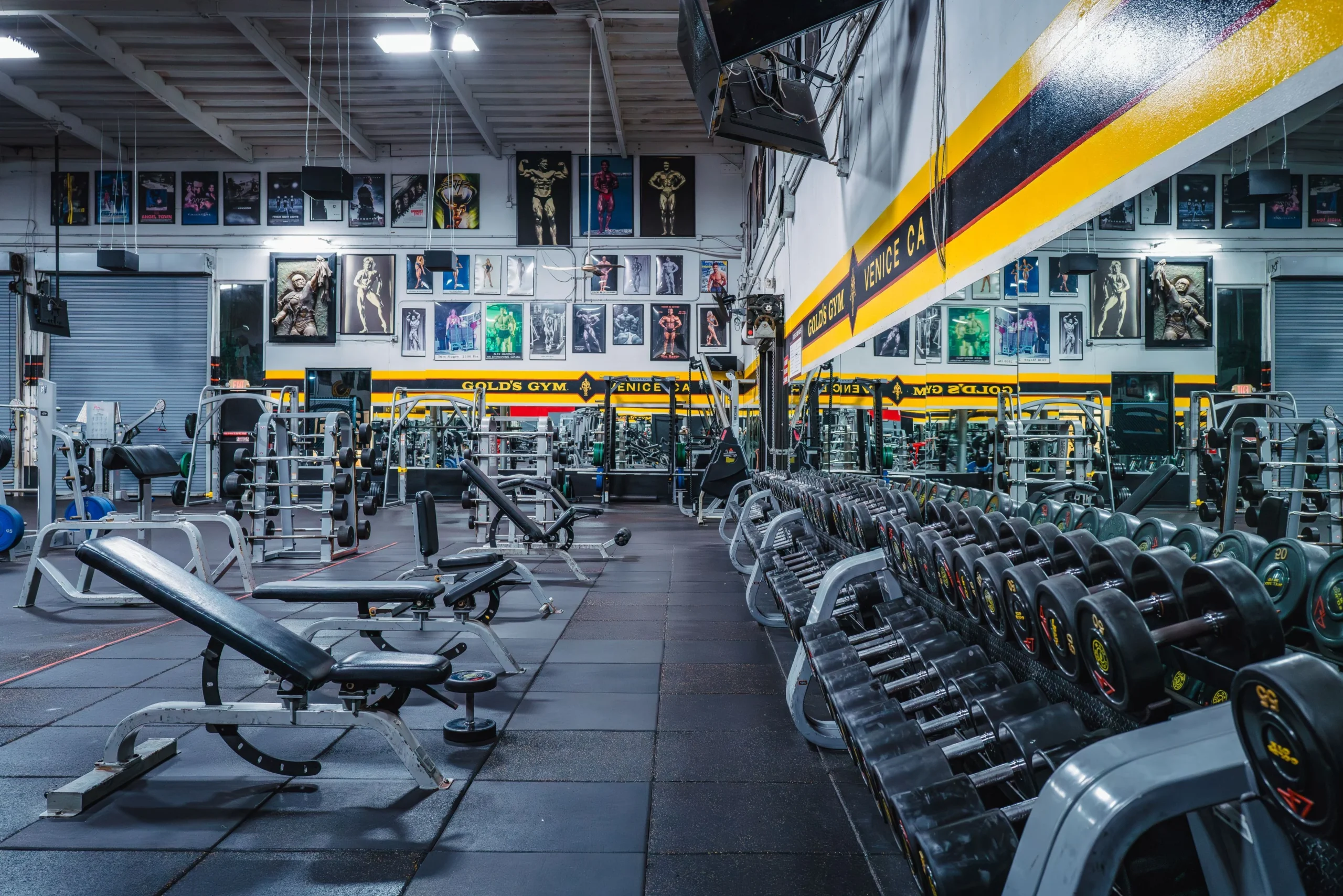 NATURAL LIFE GYM