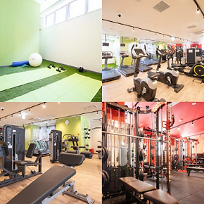 The Forest Gym(八千代緑が丘店)