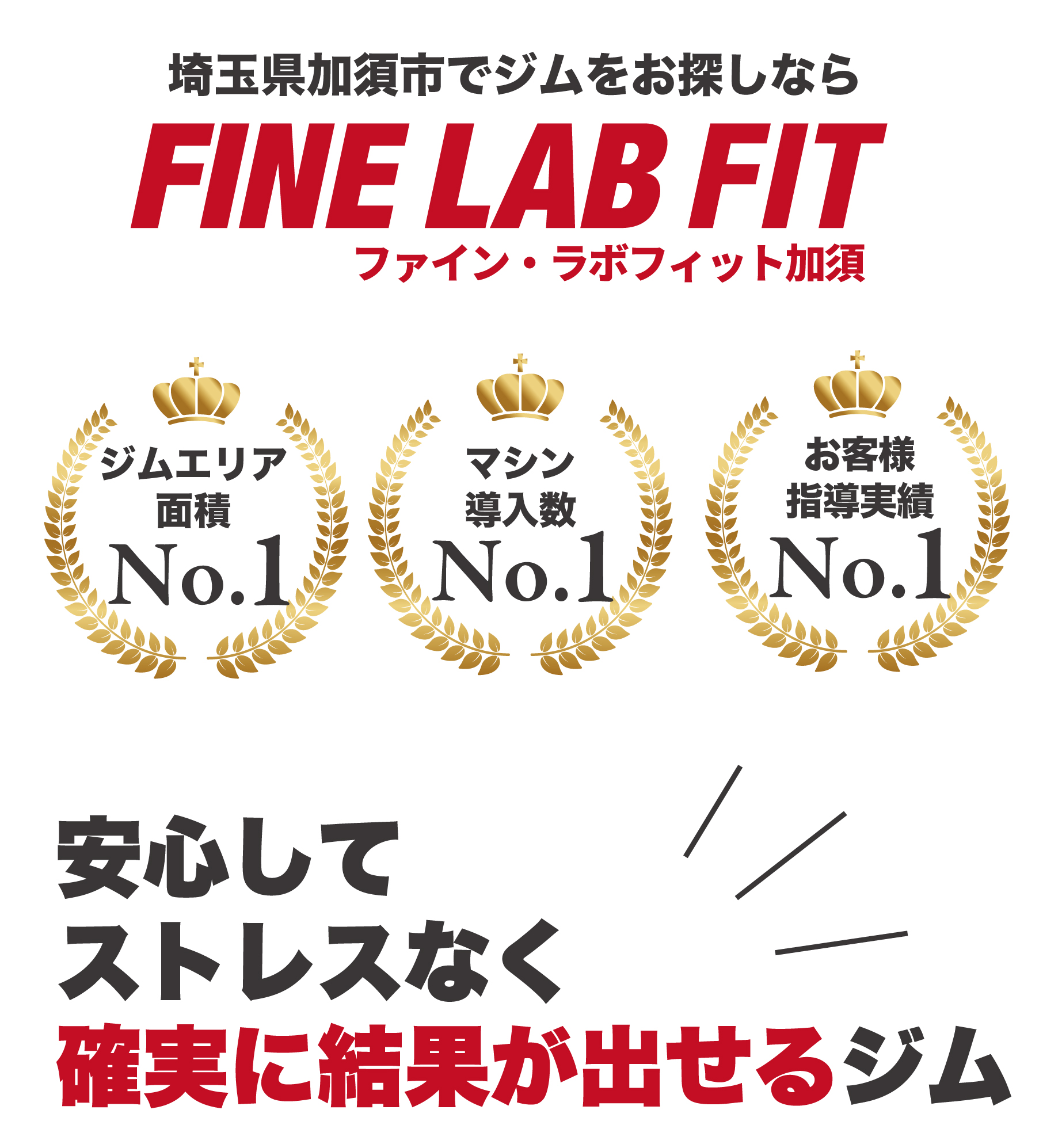 FINE LAB FIT 加須店