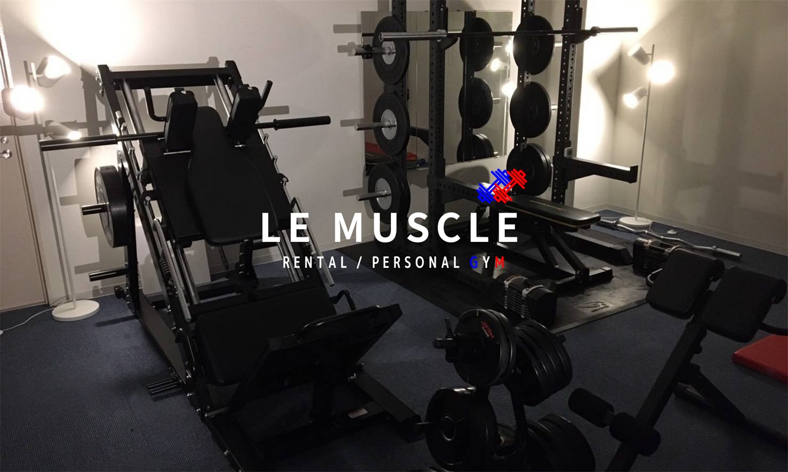 LE MUSCLE